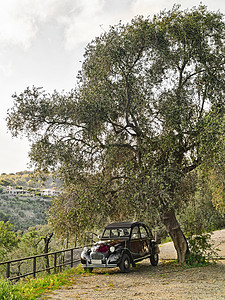 旧的Citroën车停在一棵树下图片