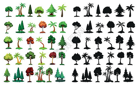 白色背景的来自不同气候带的赛斯黑色光影和现实树木矢量向量森林生长树干生态环境艺术松树花园植物学卡通片图片