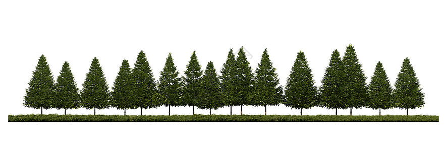 3ds 显示草地上松树前视线的图像生态季节环境生活热带花园天空植物学3d生长图片