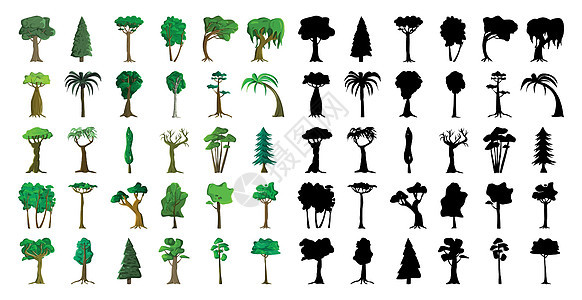 白色背景的来自不同气候带的赛斯黑色光影和现实树木矢量向量衬套树干松树生态生长橡木环境收藏公园花园图片