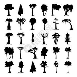 白色背景不同气候区树木的赛斯黑色影集矢量Seth black森林橡木生态插图衬套环境收藏木头松树叶子图片