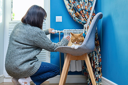 猫躺在暖热散热器附近的椅子上 妇女调节温度说谎加热孤独房间季节节能柔软度阀门猫科女士图片