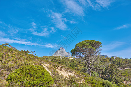 桌山的图像 桌山图片  开普敦 西开普省环境天空荒野游客海岸旅游生态蓝色假期旅行图片