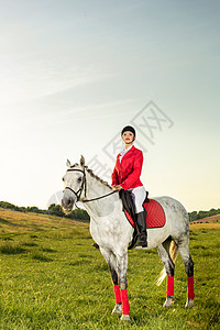 年轻的女骑手 穿着红色的红色长裤和白色的马裤 在夕阳的余晖中骑着她的马头盔场地马术骑士女性空地草地时尚动物森林图片