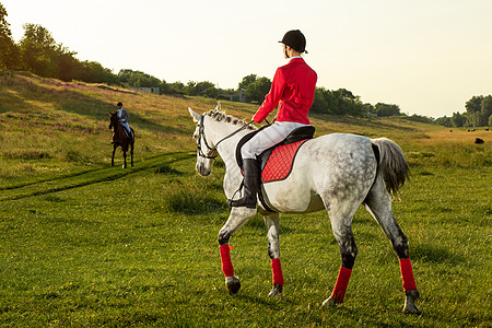 年轻的女骑手 穿着红色的红色长裤和白色的马裤 在夕阳的余晖中骑着她的马马背草地马术女孩森林友谊空地农场头盔公园图片