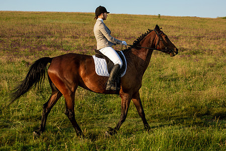 年轻女子骑着马在日落的夜光中骑着她的马 以生活方式为心情进行户外摄影森林草地女性运动农场喜悦空地友谊太阳公园图片