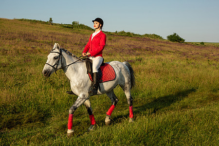 骑红马的女骑士 骑马 赛马 骑马的人女孩栅栏哺乳动物骑士树木时尚竞赛活动帽子骑术图片