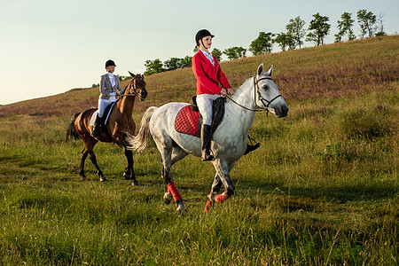 两个有魅力的女人骑着马骑着绿色草地的马踪迹女性乐趣骑士金发女郎白马树叶竞赛软毛骑马图片