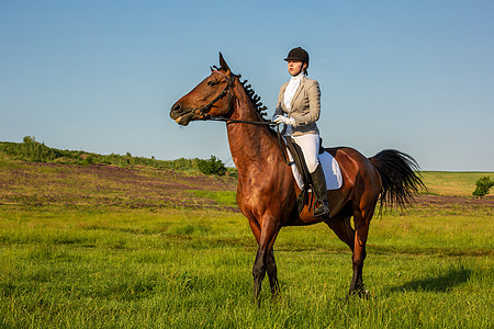 在绿地骑马的年轻女性青年速度自由伴侣训练马术骑士良种娱乐竞赛成人图片