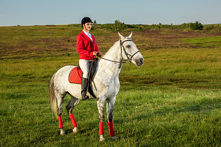 年轻的女骑手 穿着红色的红色长裤和白色的马裤 在夕阳的余晖中骑着她的马闲暇农场头盔场地马背友谊马术草地动物运动图片