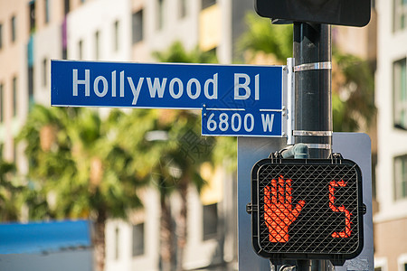 好莱坞在加利福尼亚州洛杉矶的标志棕榈街道地标吸引力大道旅游旅行城市晴天电影图片