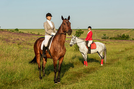 两个有魅力的女人骑着马骑着绿色草地的马乐趣金发女郎动物软毛课程娱乐背光冠军车手学校图片