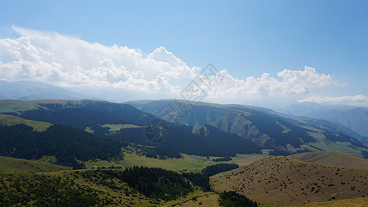 绿色山丘和高山上大白云太阳童话天堂爬坡树木顶峰松树天空环境峡谷图片