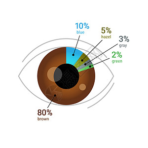 全球眼睛颜色百分比 人眼与饼图 在白色上孤立的平面矢量图图片