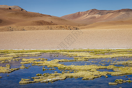 智利阿塔卡马沙漠的萨拉德阿塔卡马火山景观和盐湖天空火山气候晴天草原风景普纳盐滩反射目的地图片