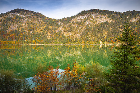 的Sylvenstein湖 秋天 南德国 奥地利附近草地反射水库森林天空风景松树全景枫树山脉图片