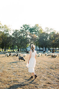 穿着草帽的女孩在草地上走过草坪 带着牧羊图片