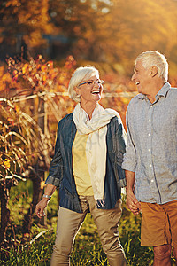 这么多年之后 我们仍相爱着 一个快乐的老年夫妇 在葡萄园里散步时手牵手图片
