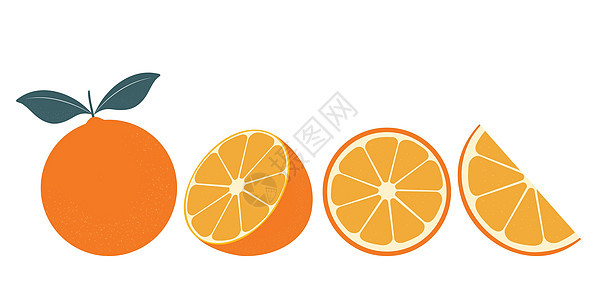 一组新鲜的橙子 白背景上的橘子水果 用于设计和印刷的矢量插图图片