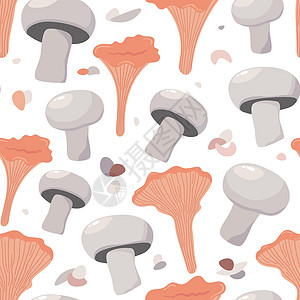 香黛儿的可爱蘑菇 无缝模式收成森林边缘植物学收藏毒菌牡蛎常委食物植物图片