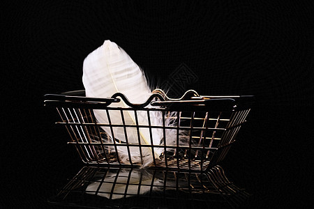 黑色背景和反光的杂货店用带白羽毛的金金小金篮子购物篮贸易消费者零售食物销售车轮阴影反射店铺图片