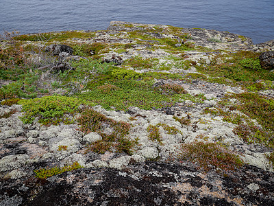 白海的风景与岩石海洋苔藓瓦砾海岸线天空矿物蓝色群岛海岸石头图片