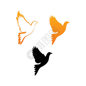 鸽鸟橙子白色自由黑色翅膀插图鸽子鸟类金子图片