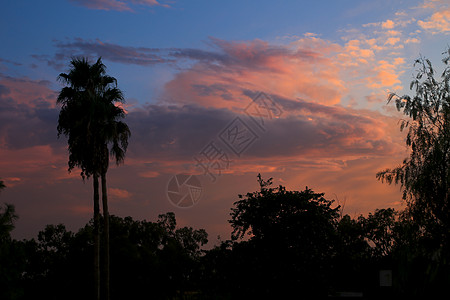 粉红云和美丽的天空 在阿利坎特的日落光束植被地平线旅行戏剧性蓝色力量天气场景太阳图片