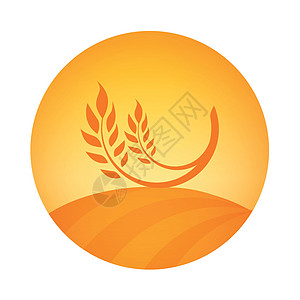 小麦收获的圆形标志标志-带有麦穗的 celeal 有机农场的矢量标签插图图片