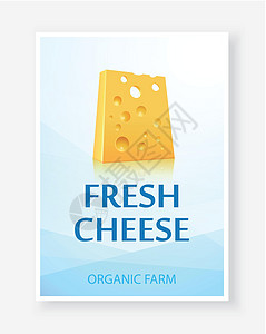 带有新鲜奶酪图标的广告横幅-小册子 奶酪和乳制品生产菜单的矢量图解图片