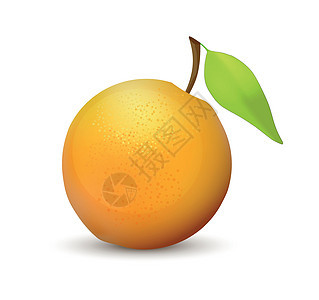 橙色水果 现实的矢量图标插图 以白色背景隔离 充满活力和多汁的颜色图片