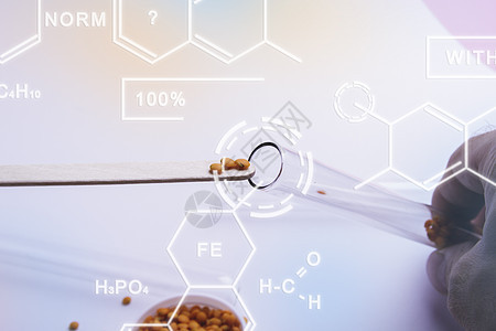 种子新品种的研究开发 选择和选择配种文化房间实验室工程化学生物植物科学教育图片