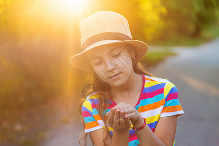 孩子在和青蛙玩 有选择的焦点环境宠物横幅公园荒野女孩动物童年两栖男生图片