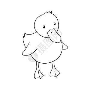 可爱的轮廓鸭 孤立在白色背景上的手绘插图 有趣的农场动物为图画书图片