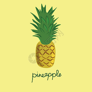 菠萝水果矢量说明 健康生活方式的夏季水果 (见Pineapple)图片