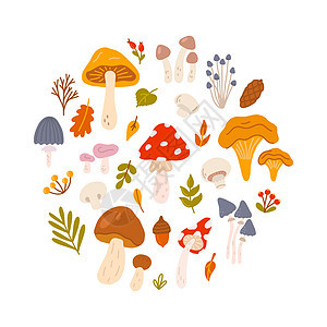 圆圈里有浆果和树叶的一组不同的蘑菇 在白色背景上手工绘制矢量平板插图样式图片