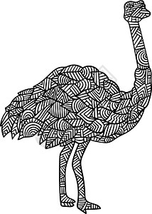 成人颜色页面圆圈彩页插图手绘填色黑色涂鸦鸟鸟野生动物图画书图片