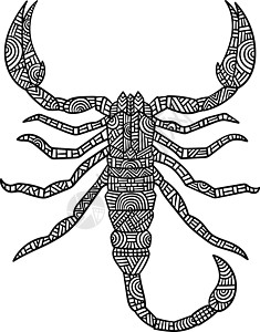 成人曼达拉蝎子彩色页面绘画圆圈手绘动物涂鸦图画书野生动物彩页插图黑色图片