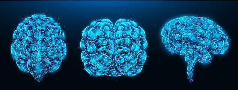 深蓝色背景下人脑的多边形矢量图解 从不同角度低聚设计的健康人脑 神经系统医学横幅 模板或背景图片