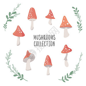 可爱的红色苍蝇 盛装蘑菇 用于贴纸图片