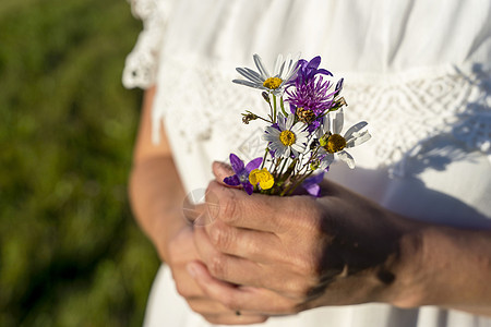 身着白裙子的女人手里握着一束野花的花束植物紫色草地展示女性女士花朵季节女孩花园图片