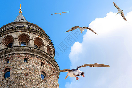 土耳其伊斯坦布尔的加拉塔塔 伊斯坦布尔著名的海鸥旅游目的地加拉塔旅行天空脚凳建筑学历史城市地方石头地标图片