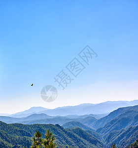 在山区土耳其的松树林 土耳其西部山区松林的图像旅行天空风景文化顶峰季节地质学场景植物火鸡图片