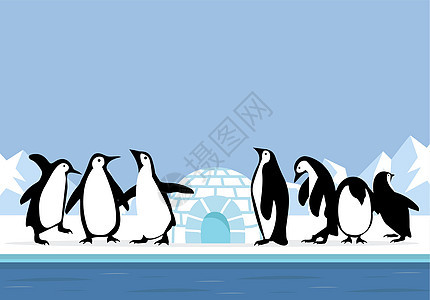 北极北极北极 有企鹅风景观图片