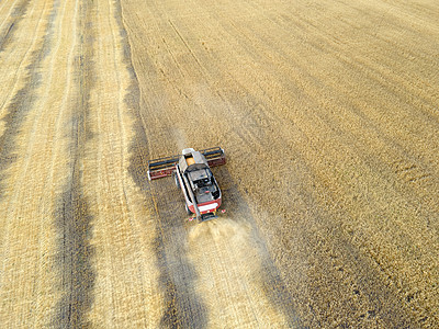 粮食作物的收获 在田地 牧场和农田中收割小麦 燕麦和大麦 在田间联合收割小麦 农业工业 联合收割机在麦田上切割 机器收获小麦收获图片