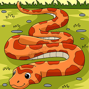 玉米蛇动物彩色卡通画插图图片