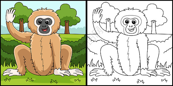 Gibbon 动物着色页面有色说明图片