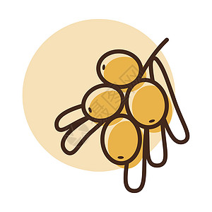 海角贝瑞莓孤立设计矢量图标水果插图叶子浆果农业橙子药品营养食物沙棘图片