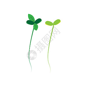 无豆芽插图美食绿色白色种子大豆叶子烹饪蔬菜农业剪贴画图片