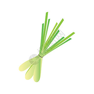 Lemongrass 演示图解图标模板免费叶子药品茶杯芳香柠檬植物花园香料疗法草本植物图片
